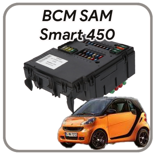 SAM Smart Fortwo 450 (1999-2007) revisione Body Computer SAM Smart Fortwo 450 (1999-2007) revisione Body Computer